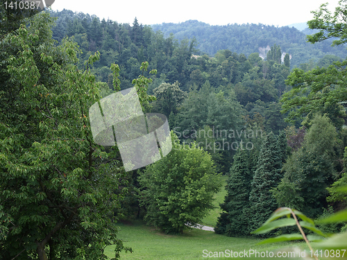 Image of Trees on a hill