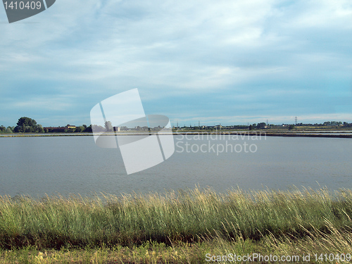 Image of Paddy field