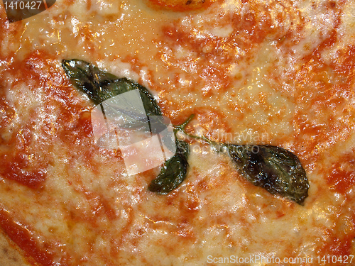 Image of Pizza Margherita