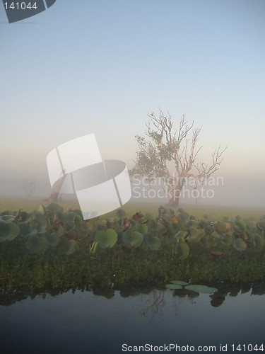 Image of morning fog