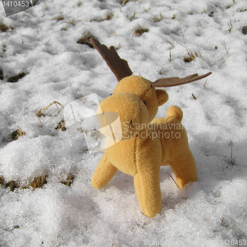 Image of Deer picture