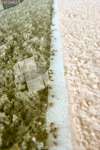 Image of ants roads