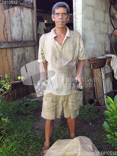 Image of Corn Island Nicaragua man with fresh caught snails wilks