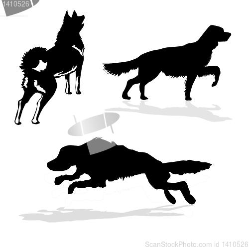 Image of vector drawing
