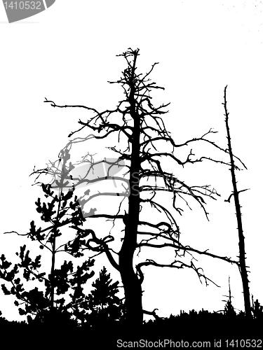 Image of vector drawing