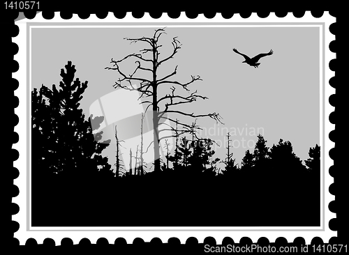 Image of vector drawing