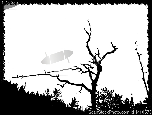Image of vector drawing old tree on torn sheet of paper