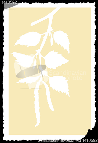 Image of vector drawing