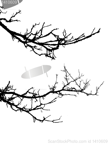 Image of vector drawing