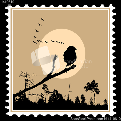 Image of vector silhouette of the birds on postage stamps