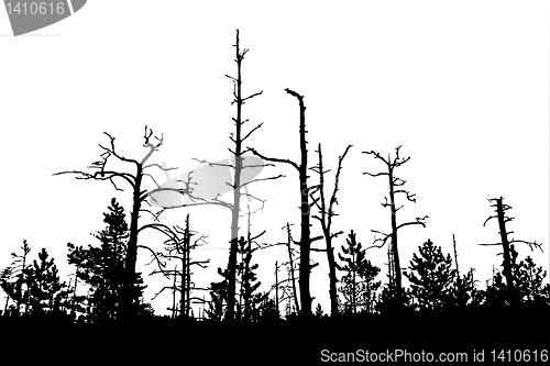 Image of vector drawing