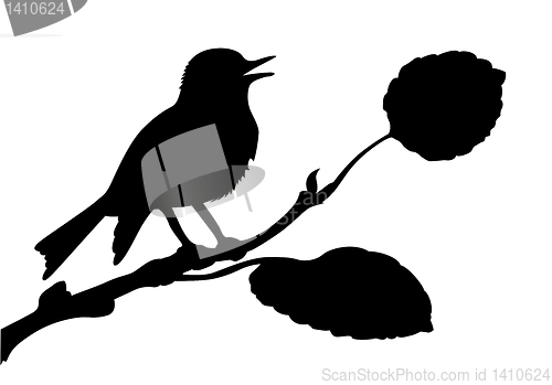 Image of vector silhouette of the bird on branch