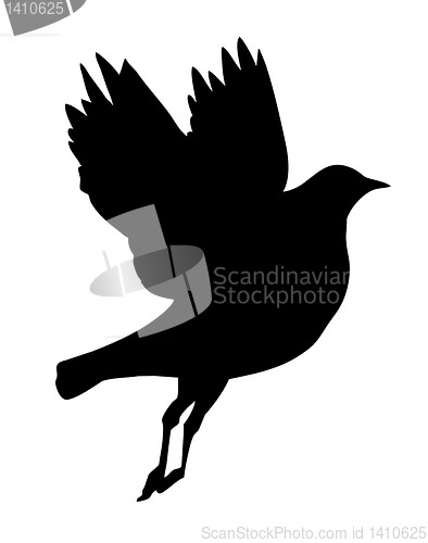 Image of vector silhouette flying birds on white background