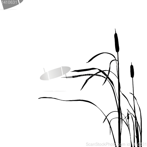 Image of vector drawing