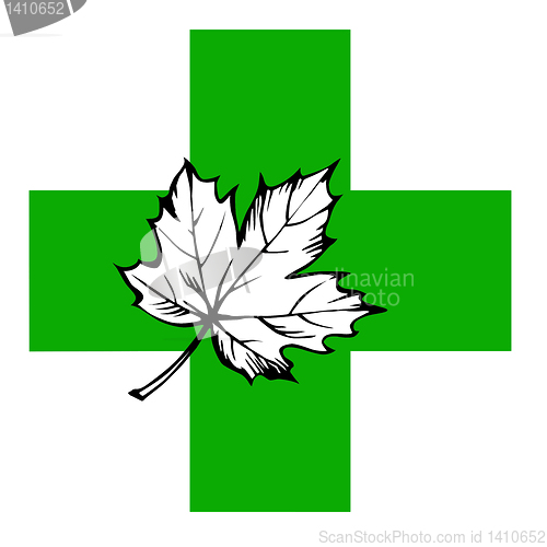 Image of maple leaf on green cross