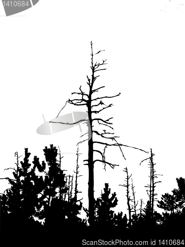 Image of vector drawing