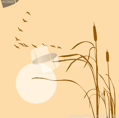 Image of vector drawing