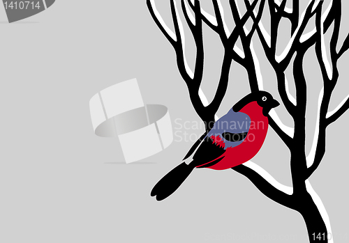 Image of vector drawing bullfinch on tree