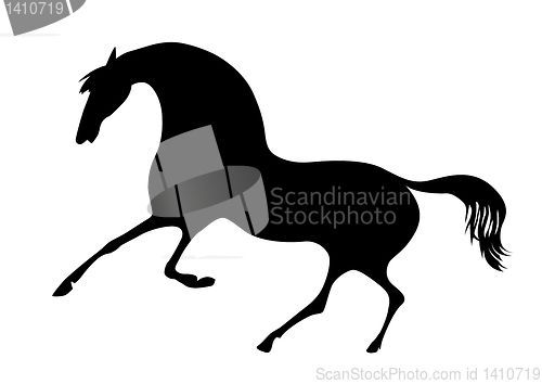 Image of vector silhouette horse on white background