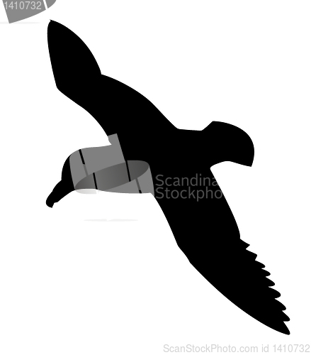 Image of vector silhouette of the sea bird on white background