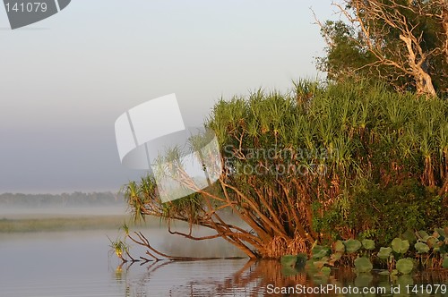 Image of foggy morning at lake