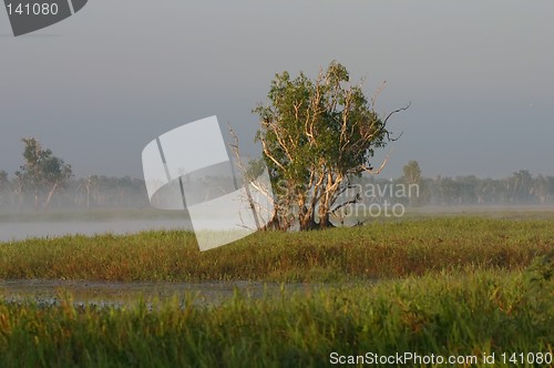 Image of foggy morning at river