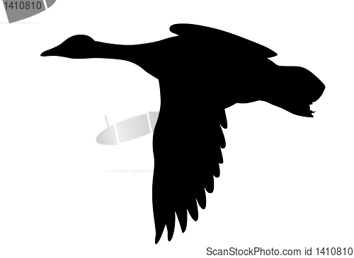 Image of vector silhouette flying ducks on white background