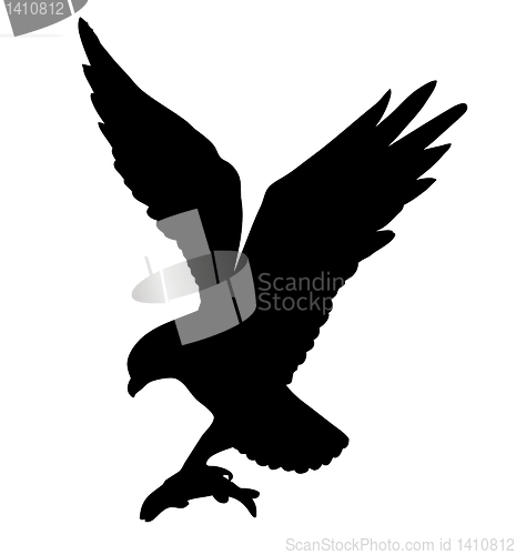 Image of vector drawing