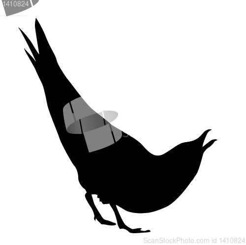 Image of vector drawing