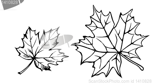 Image of vector drawing