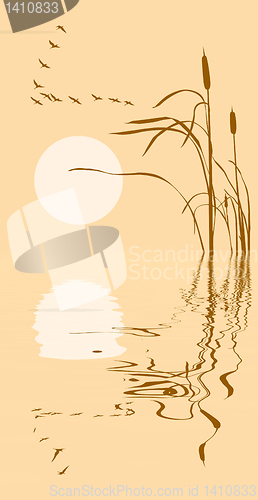 Image of vector drawing