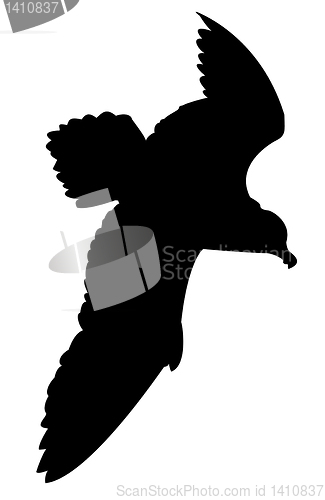 Image of vector drawing