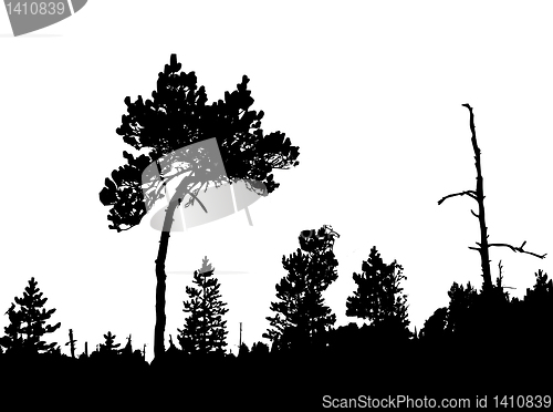 Image of vector drawing