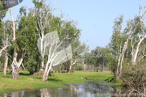 Image of kakadoo national park