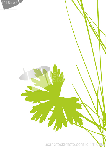 Image of green sheet on white background