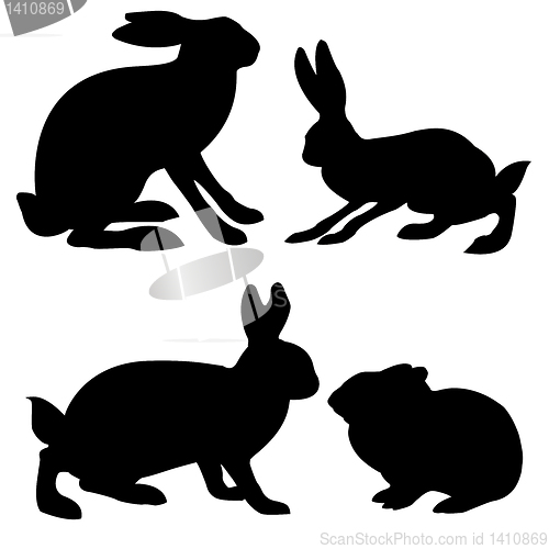 Image of vector drawing