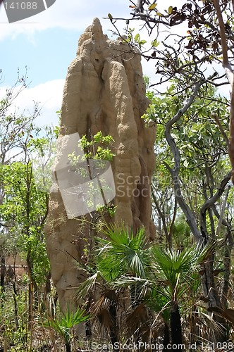 Image of termite hill