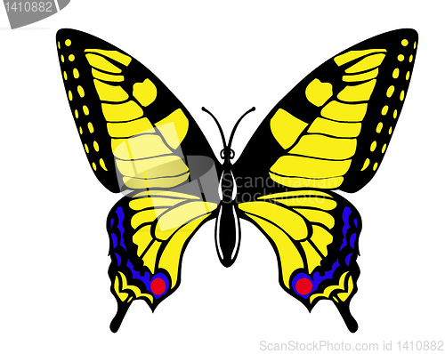 Image of vector drawing butterfly swallowtail on white background