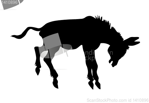Image of vector silhouette stubborn ass on white background