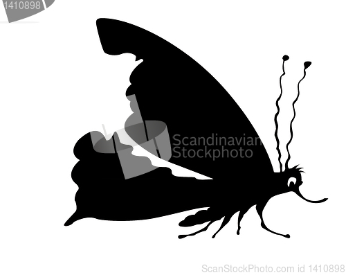 Image of vector silhouette butterfly on white background