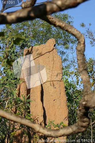 Image of termite hill