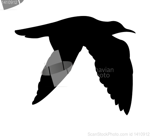 Image of vector silhouette of the sea bird on white background