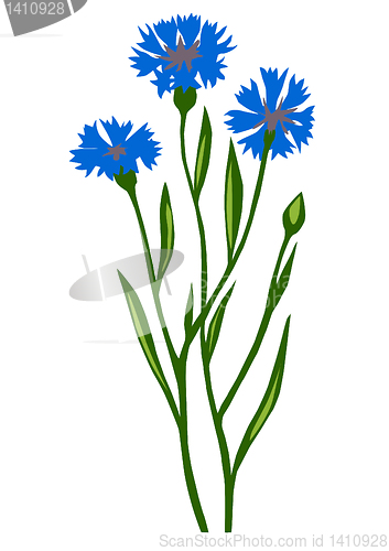 Image of vector drawing