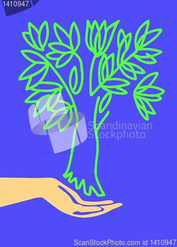 Image of vector drawing