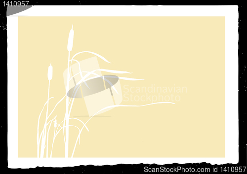 Image of vector drawing