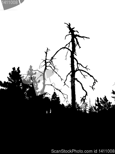 Image of vector drawing
