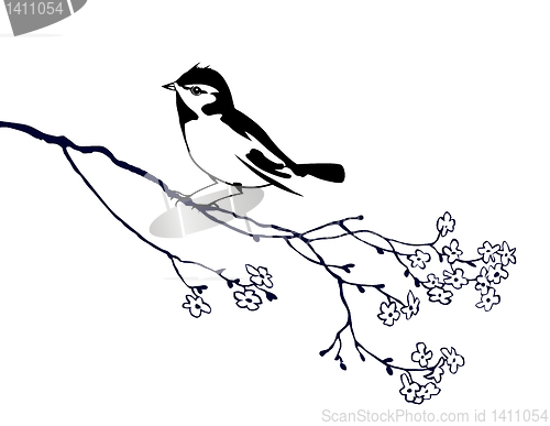 Image of vector silhouette of the bird on branch tree