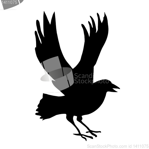 Image of vector drawing