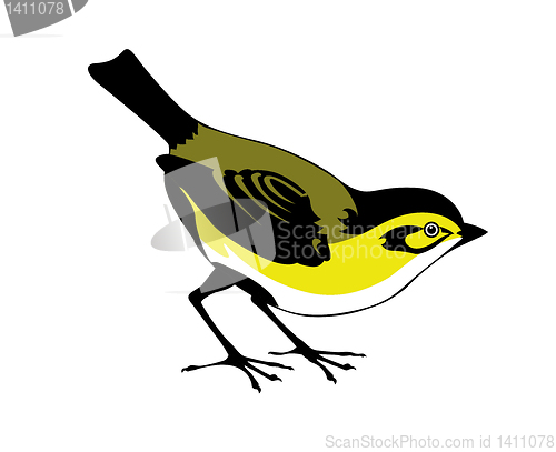 Image of vector silhouette of the bird on white background