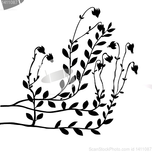 Image of vector cranberry bush on white background